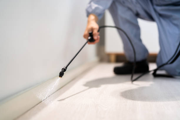 Licensed Fumigation Services service in Buffalo, NY - Nex Pest Control