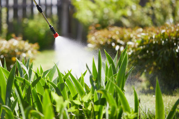 24/7 Emergency Fumigation Services experts in Buffalo, NY