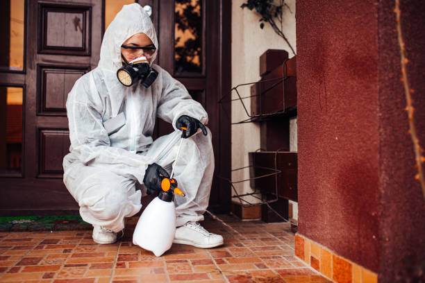 Reliable Fumigation Services contractor in Buffalo, NY by Nex Pest Control