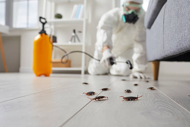 Trusted Mosquito Control service in Buffalo, NY - Nex Pest Control